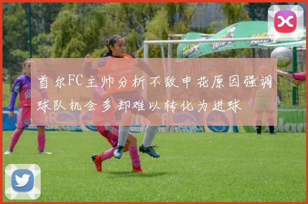 首尔FC主帅分析不敌申花原因强调球队机会多却难以转化为进球