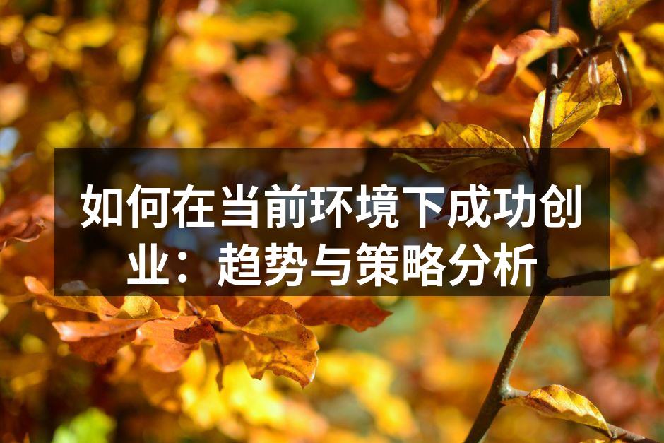 如何在当前环境下成功创业：趋势与策略分析